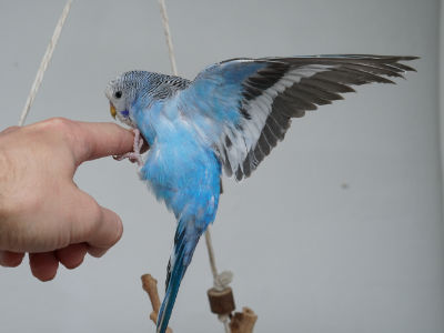 Eigengewichtstraining 3